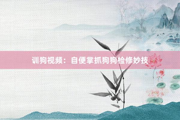 训狗视频：自便掌抓狗狗检修妙技